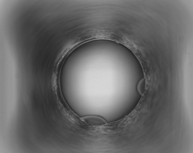 X0000111350098200907101218