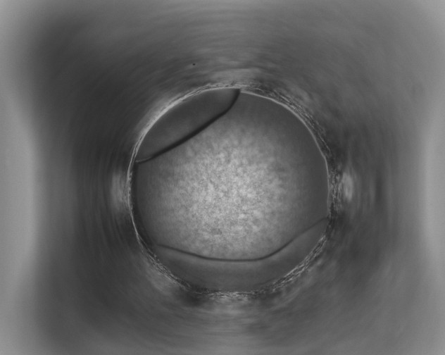 X0000111350100200907101218