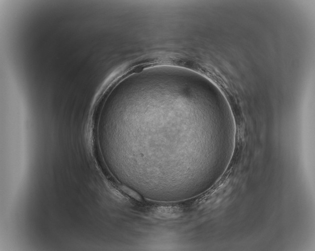 X0000111350101200907101218