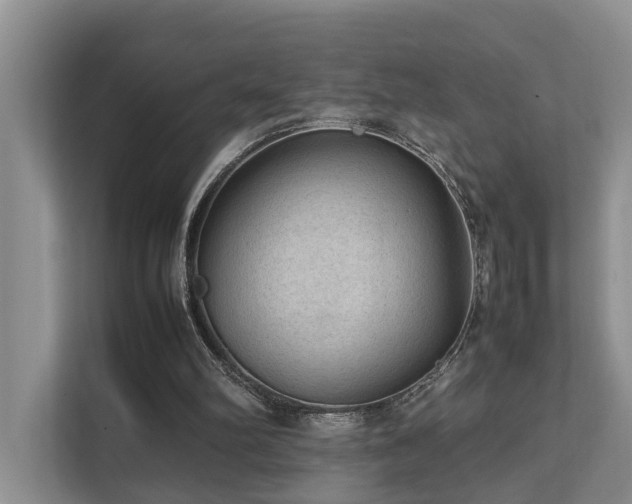 X0000111350102200907101218