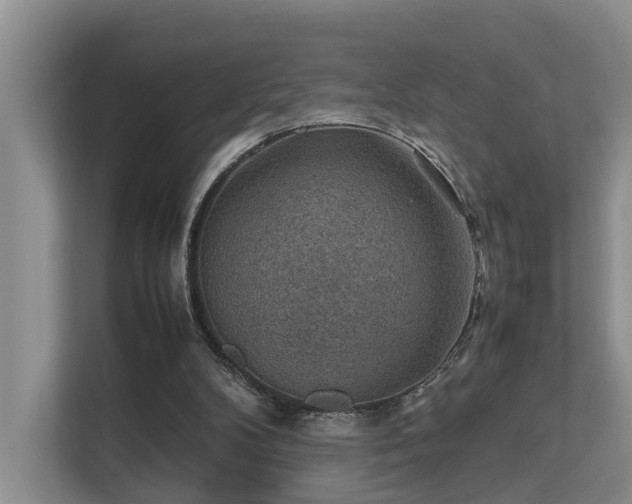 X0000111350104200907101218