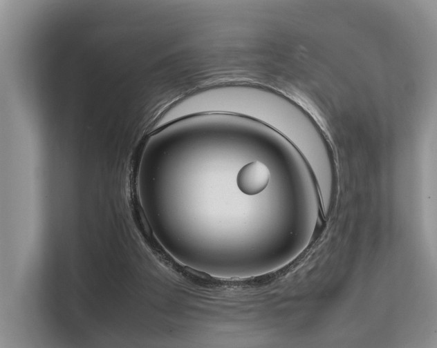 X0000111350105200907101218