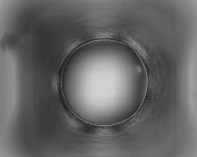 X0000111350107200907101218