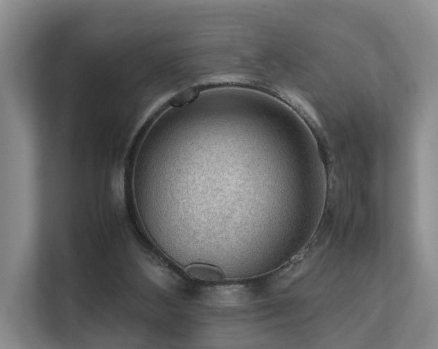 X0000111350108200907101218