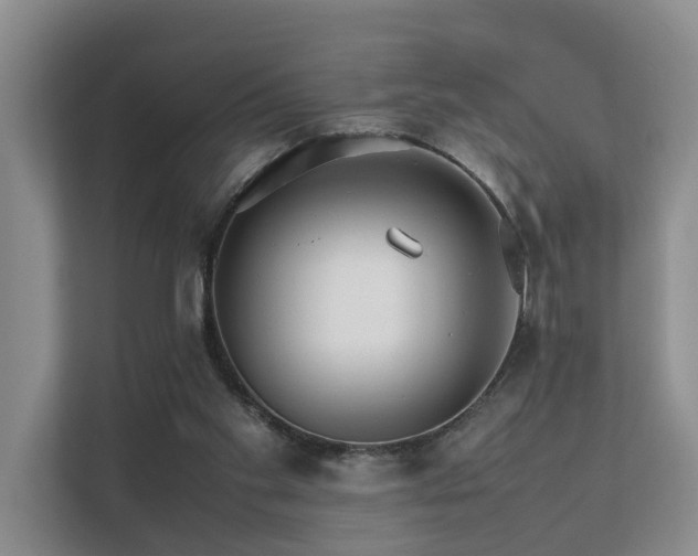 X0000111350109200907101218