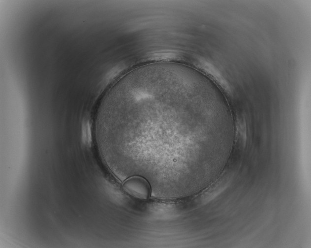 X0000111350110200907101218