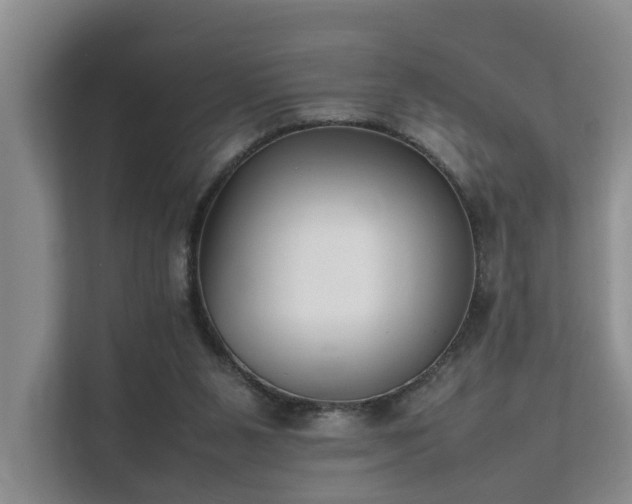 X0000111350111200907101218