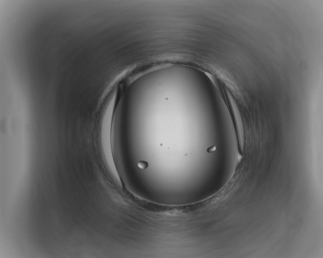 X0000111350112200907101218