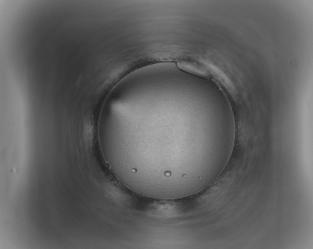 X0000111350113200907101218