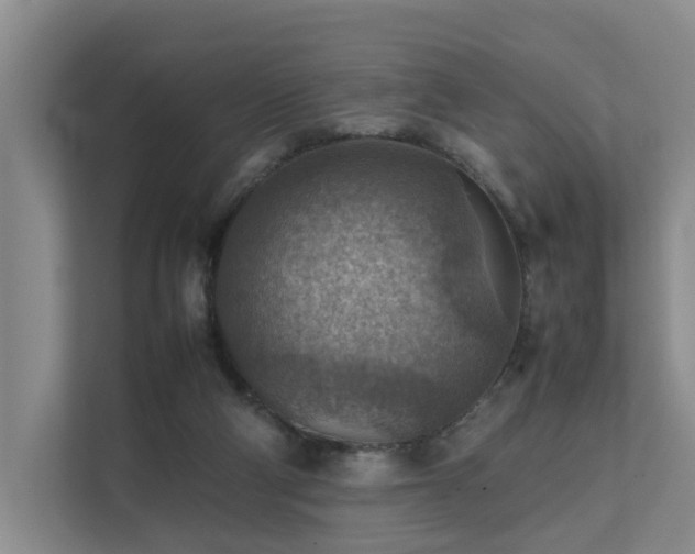 X0000111350114200907101218