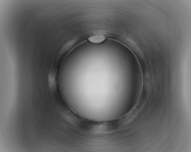 X0000111350116200907101218