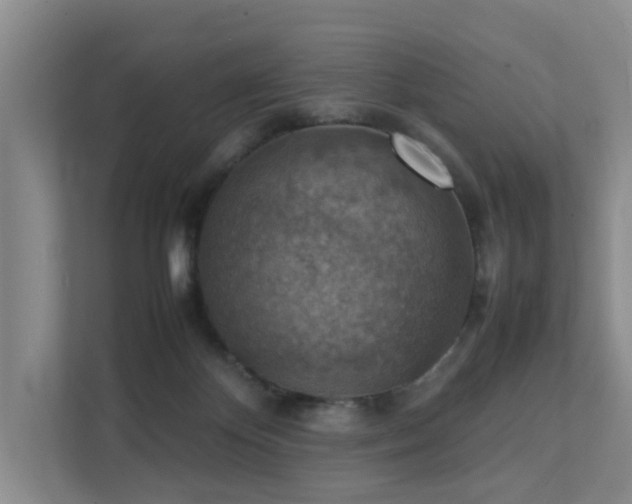 X0000111350124200907101218