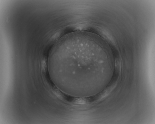 X0000111350127200907101218