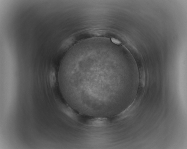 X0000111350128200907101218