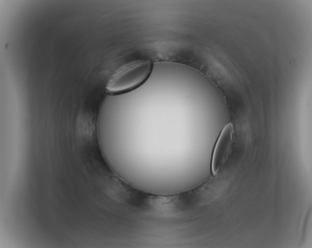 X0000111350129200907101218