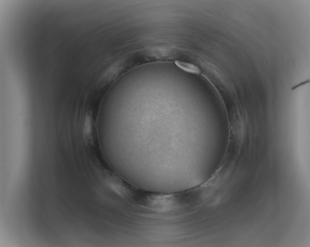 X0000111350132200907101218