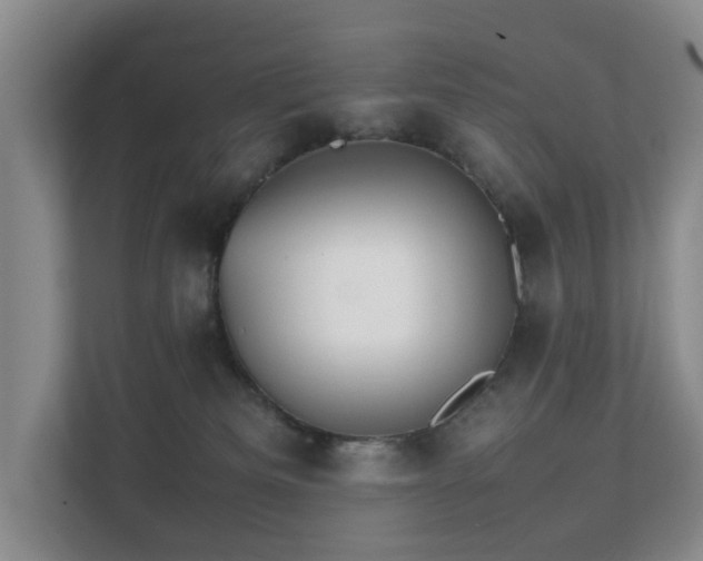 X0000111350133200907101218