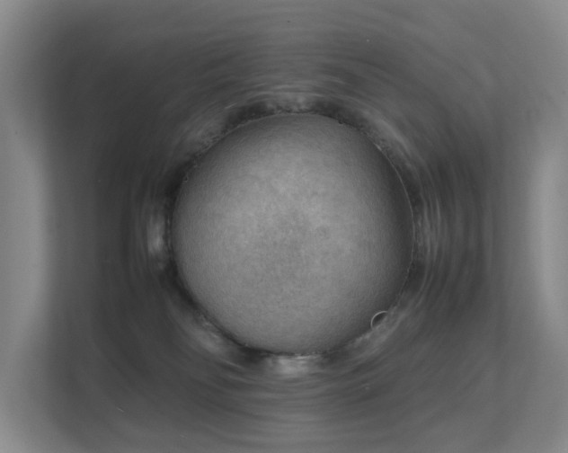 X0000111350134200907101218