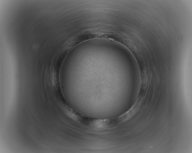 X0000111350136200907101218