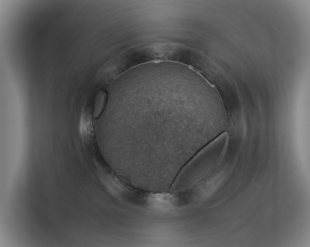 X0000111350137200907101218