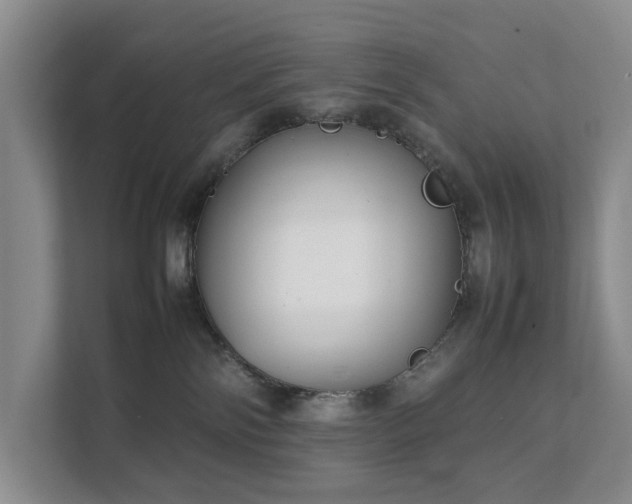 X0000111350138200907101218