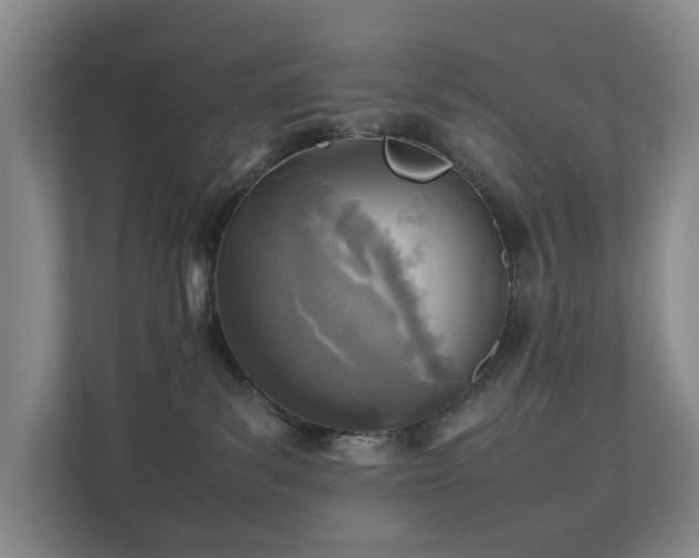 X0000111350139200907101218