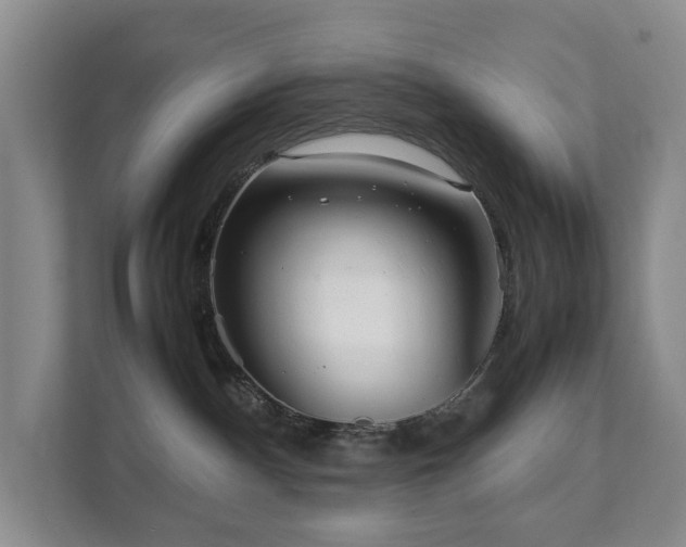 X0000111350140200907101218