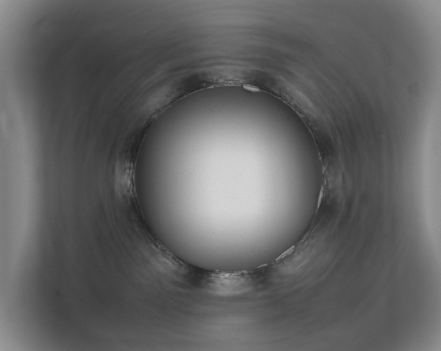 X0000111350141200907101218