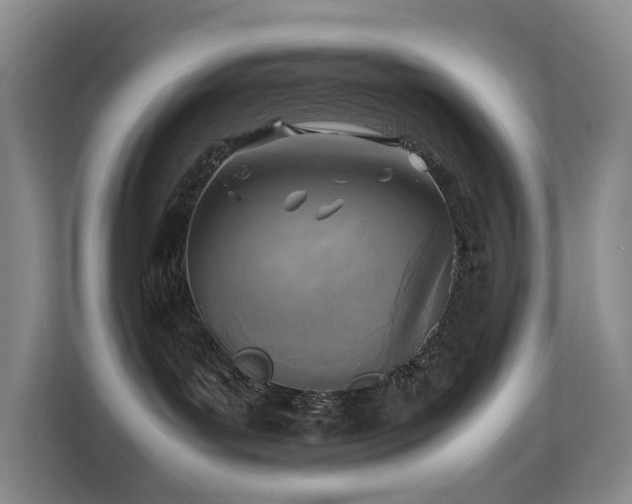 X0000111350143200907101218