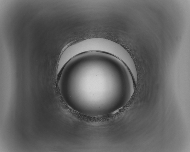 X0000111350144200907101218