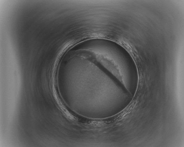 X0000111350145200907101217