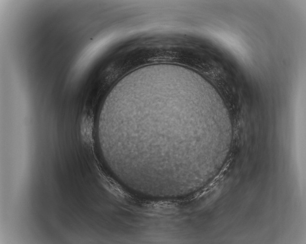 X0000111350146200907101217