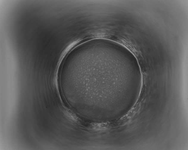 X0000111350147200907101217