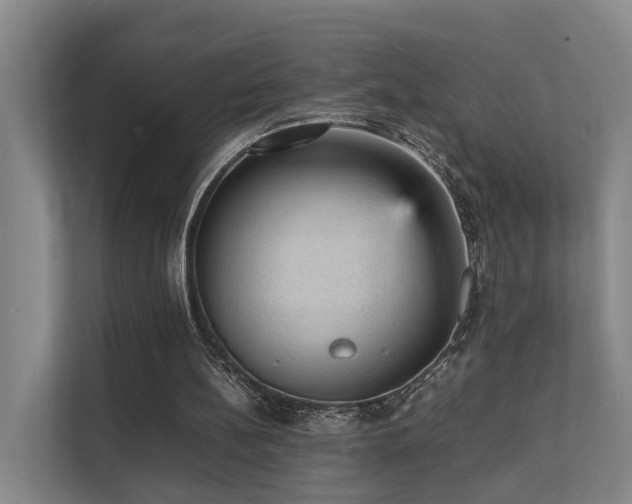 X0000111350148200907101217