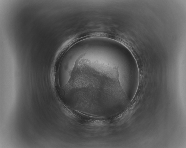 X0000111350149200907101217