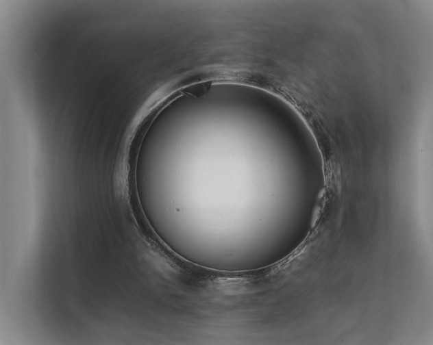 X0000111350150200907101217