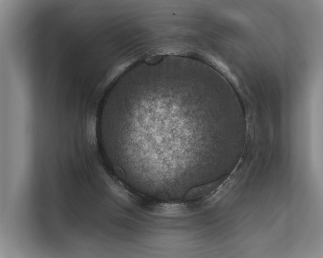 X0000111350154200907101217