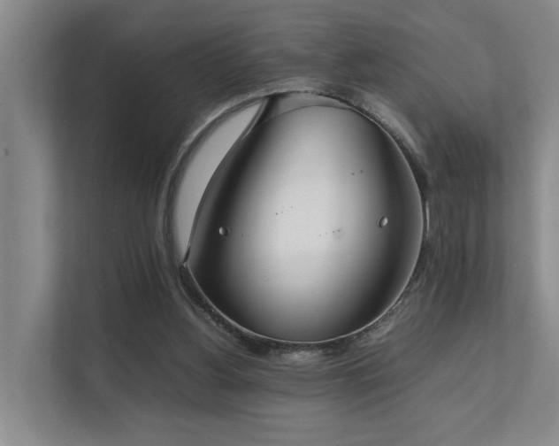 X0000111350156200907101217