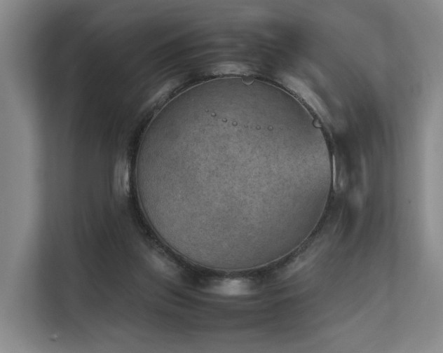 X0000111350157200907101217