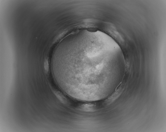 X0000111350158200907101217