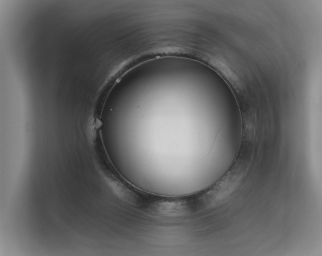 X0000111350160200907101217