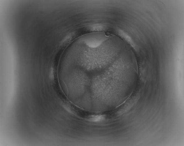 X0000111350161200907101217