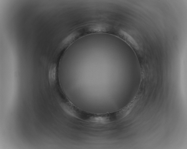 X0000111350163200907101217