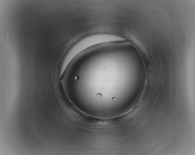 X0000111350164200907101217