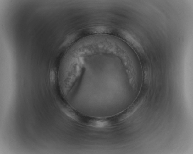 X0000111350165200907101217