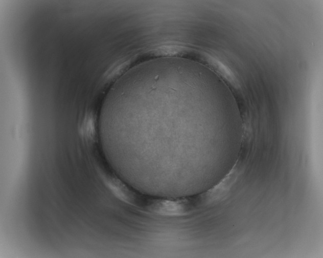 X0000111350166200907101217