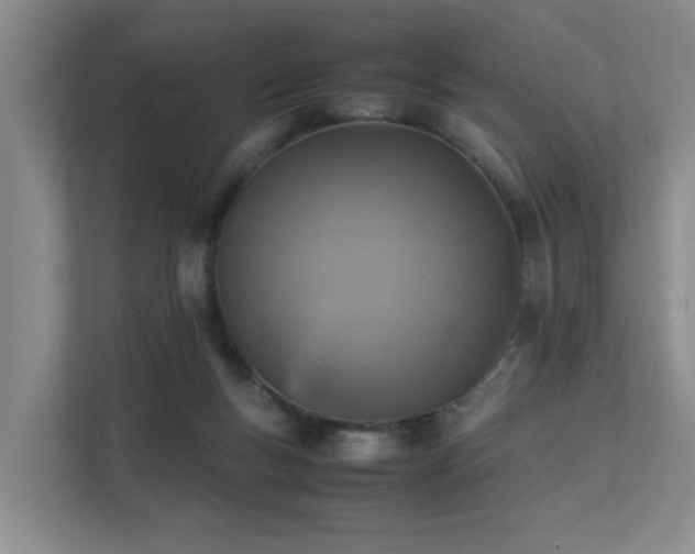 X0000111350167200907101217