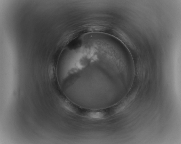 X0000111350169200907101217