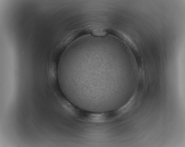 X0000111350170200907101217