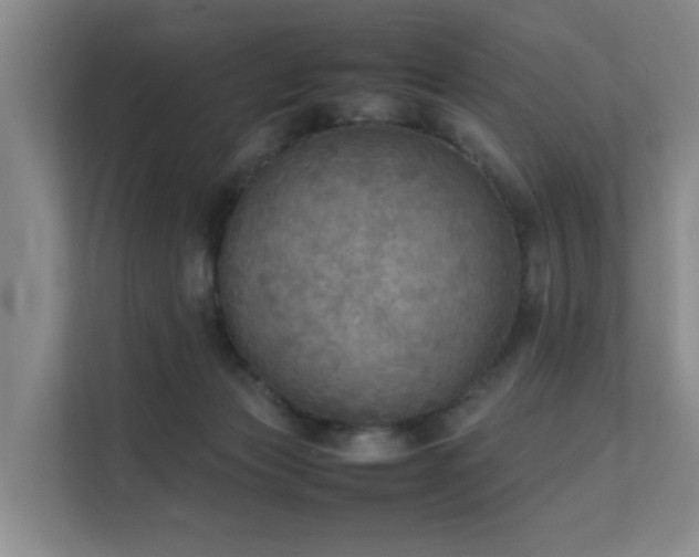 X0000111350173200907101217